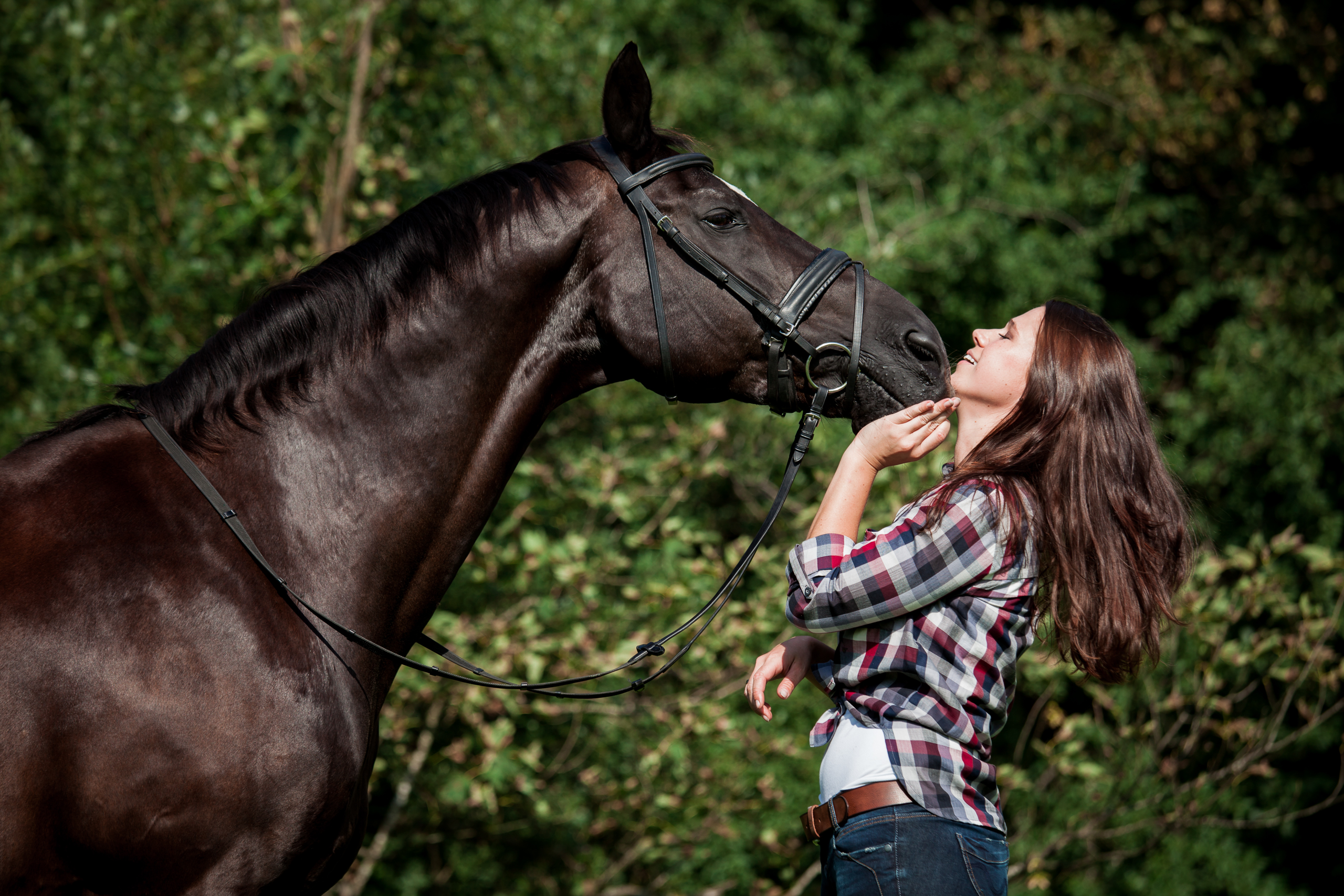 Pferde;Portfolio;Tierfotografie;Winny;lumo obscura;outdoor