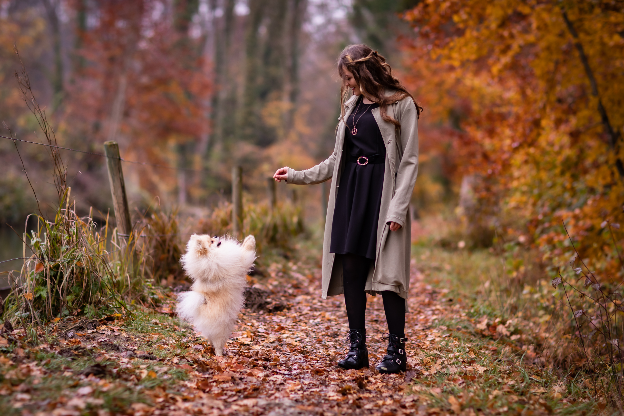 Herbst;Hund;Mensch;Portfolio;Studio;Tierfotografie;lumo obscura;outdoor