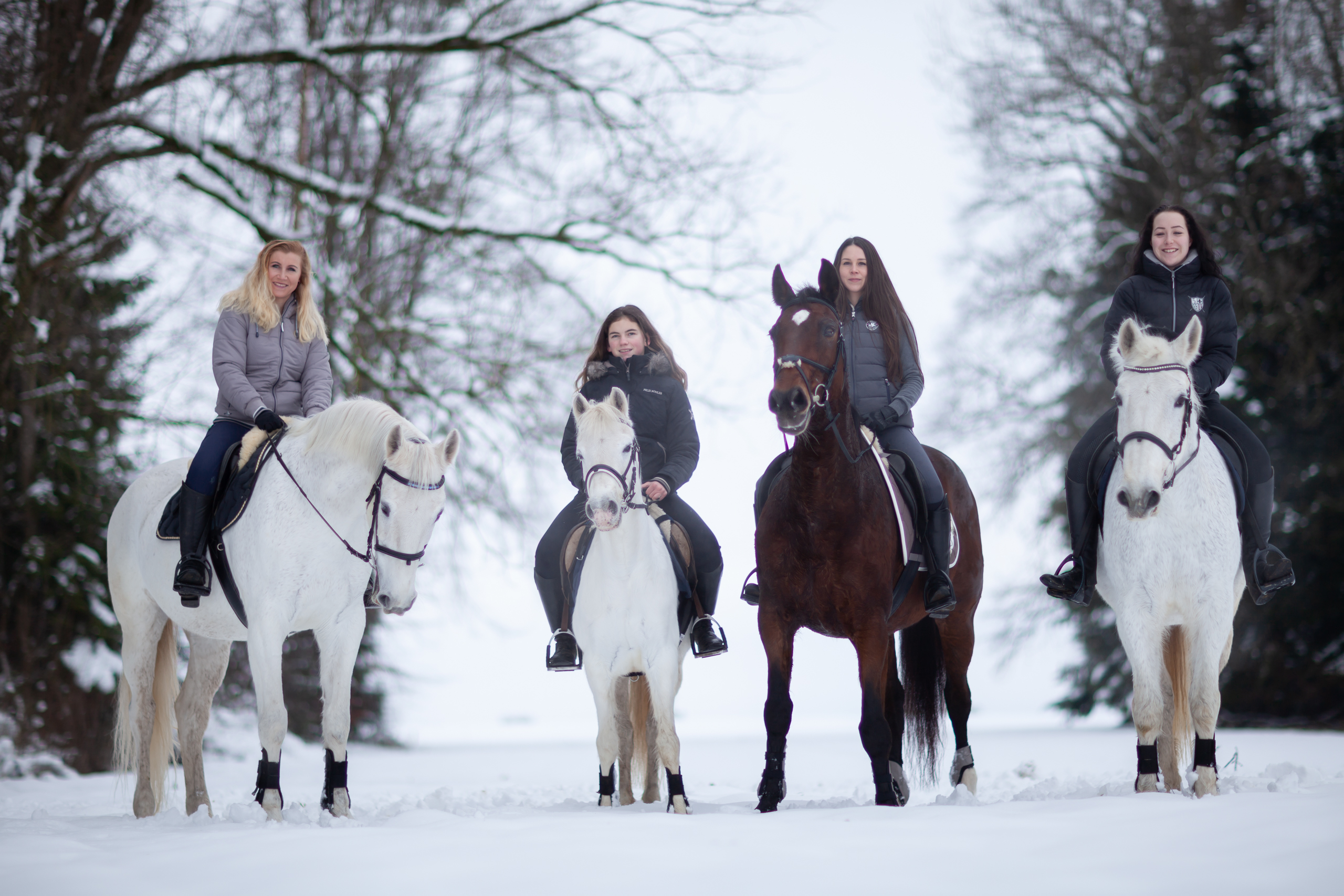 Pferde;Portfolio;Schnee;Tierfotografie;lumo obscura;outdoor