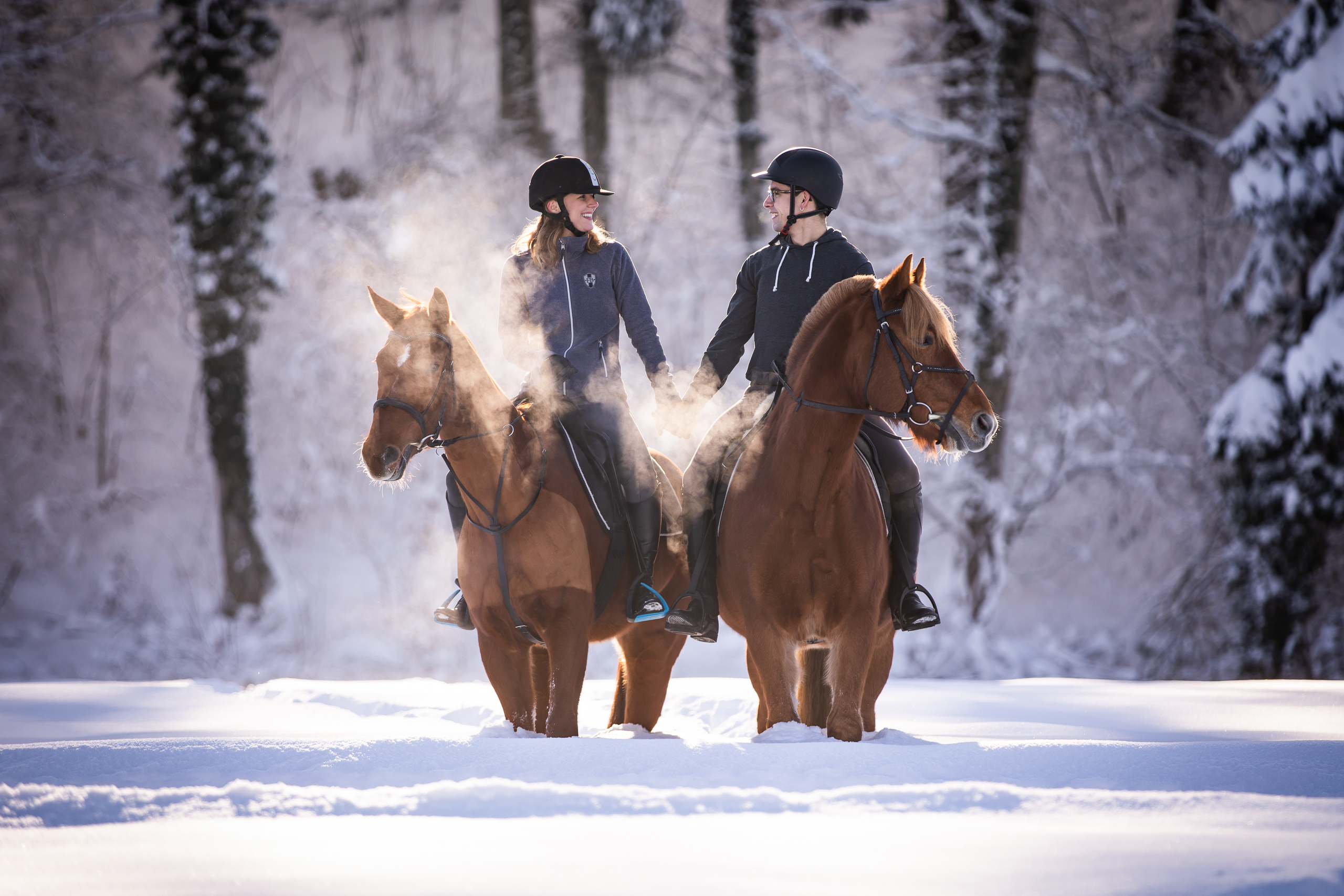 Pferde;Portfolio;Schnee;Tierfotografie;Winter;lumo obscura;outdoor