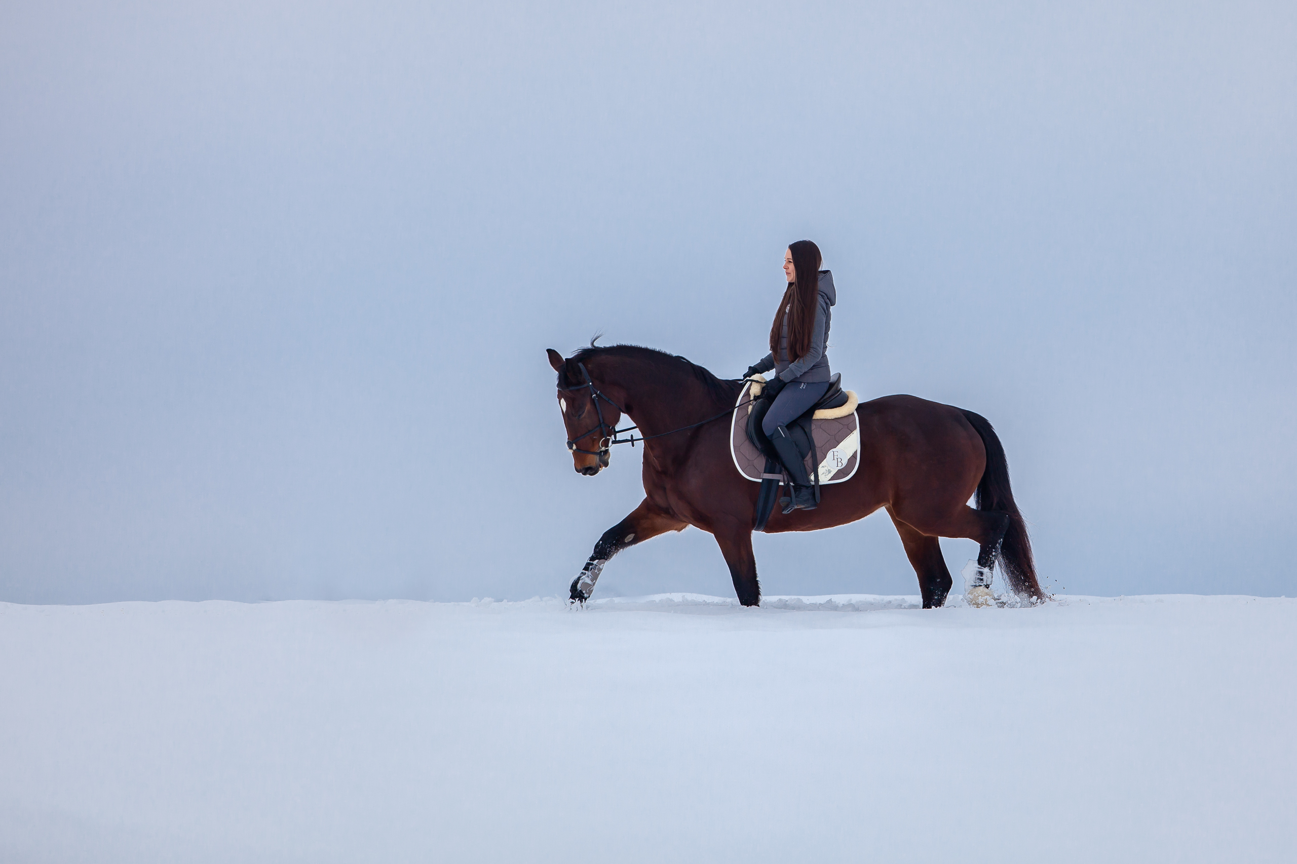 Pferde;Portfolio;Schnee;Tierfotografie;lumo obscura;outdoor