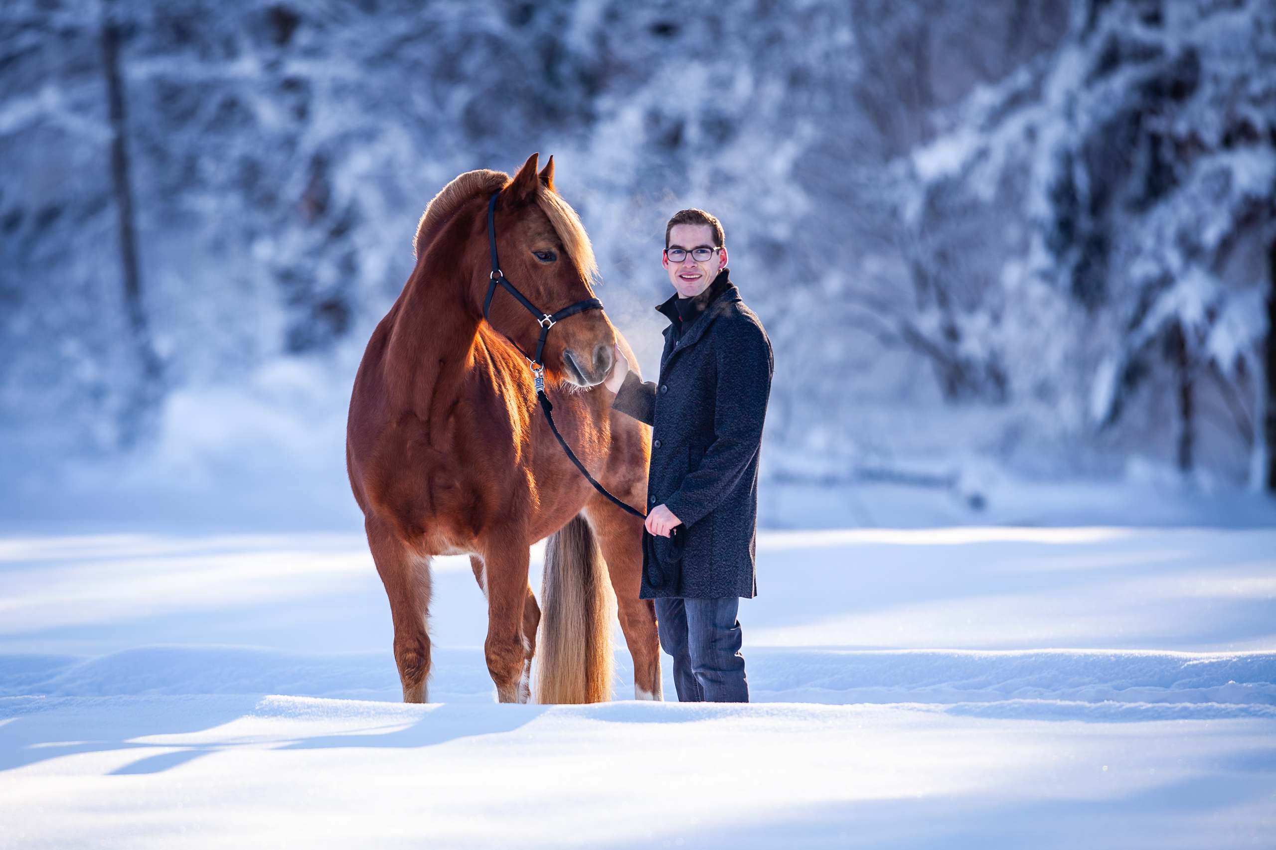 Pferde;Portfolio;Schnee;Tierfotografie;Winter;lumo obscura;outdoor