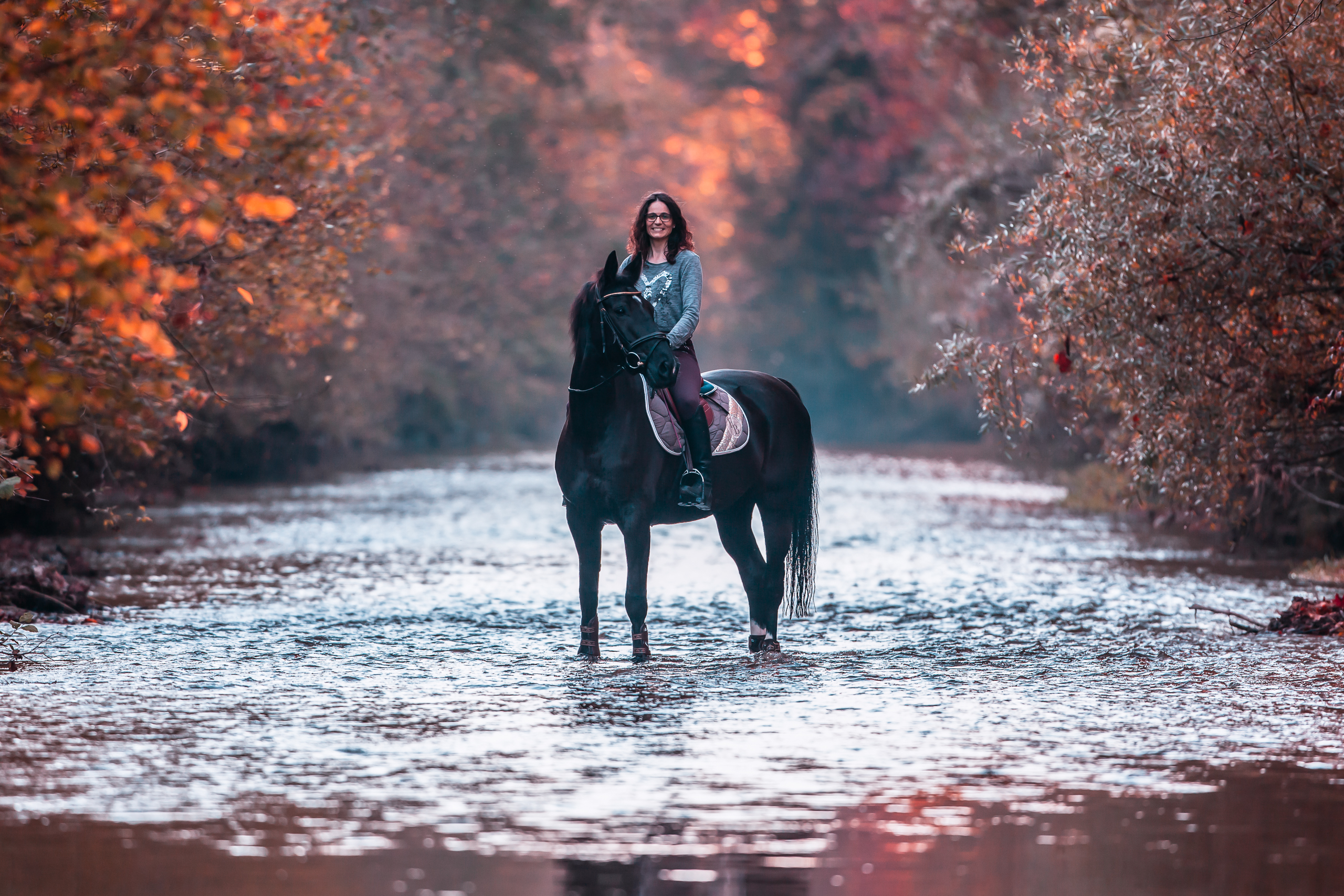 Herbst;Pferde;Portfolio;Tierfotografie;lumo obscura;outdoor